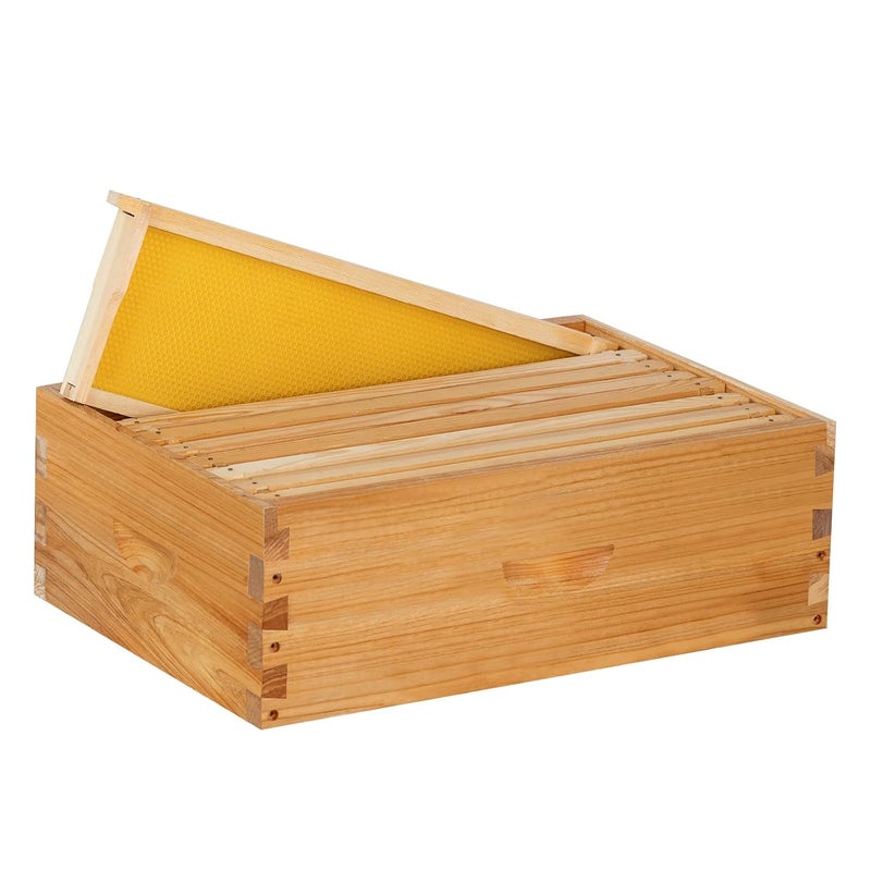 ThxBees صندوق عسل متوسط 8 إطارات للنحل مع طلاء شمع النحل يتضمن إطارات خلية النحل وأوراق أساس مشمعة (غير مجمعة) - Image 1